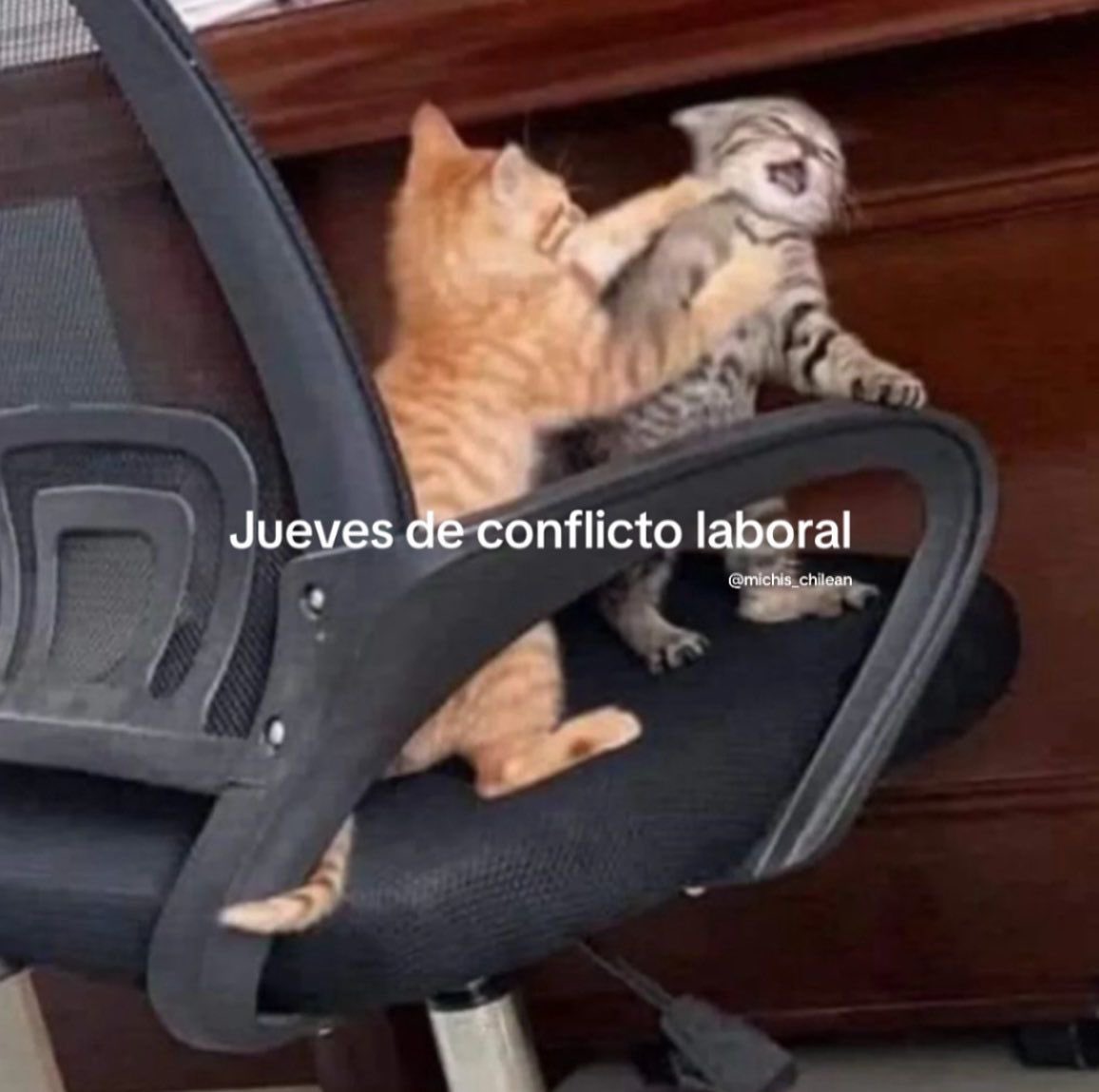 _bambitoo's tweet photo. Estamos todos asi o no https://t.co/CxQRvzzArb