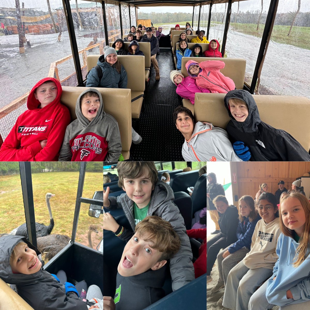 Rain or shine, the adventure never stops! Our 5th graders braved the elements on a rainy safari at the Georgia Safari Conservation Park, learning about wildlife and conservation up close. Nature’s classroom is always open! 🌧️🦓🌿 #safari #rainydayexplorers #dcesdragons