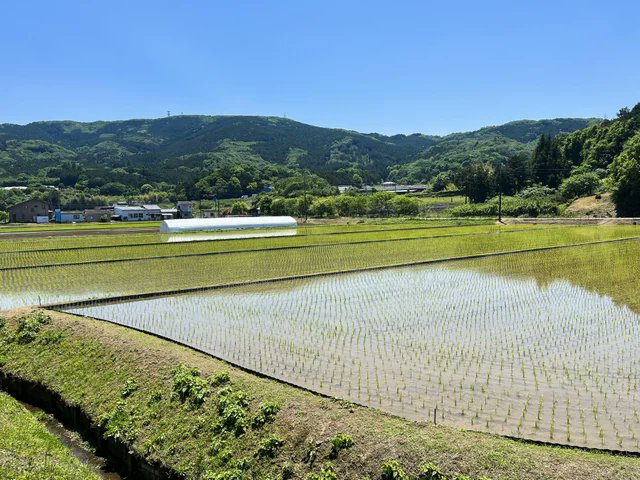 Coelacanth、石岡市移住推進事業の一環として地域の暮らしや生業を体験できる「移住体験ツアー」を開催
prtimes.jp/main/html/rd/p… <a href="/PRTIMES_JP/">PR TIMES</a>
