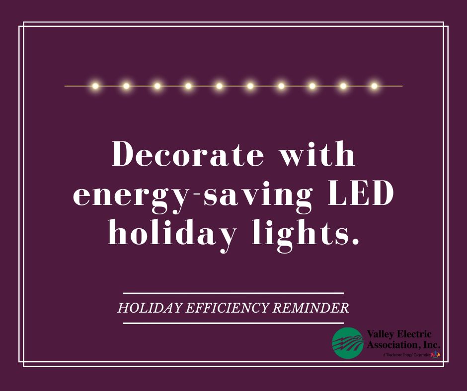 Brighten your holidays with LED lights! These energy-saving bulbs last a long time and add a festive glow to your home.