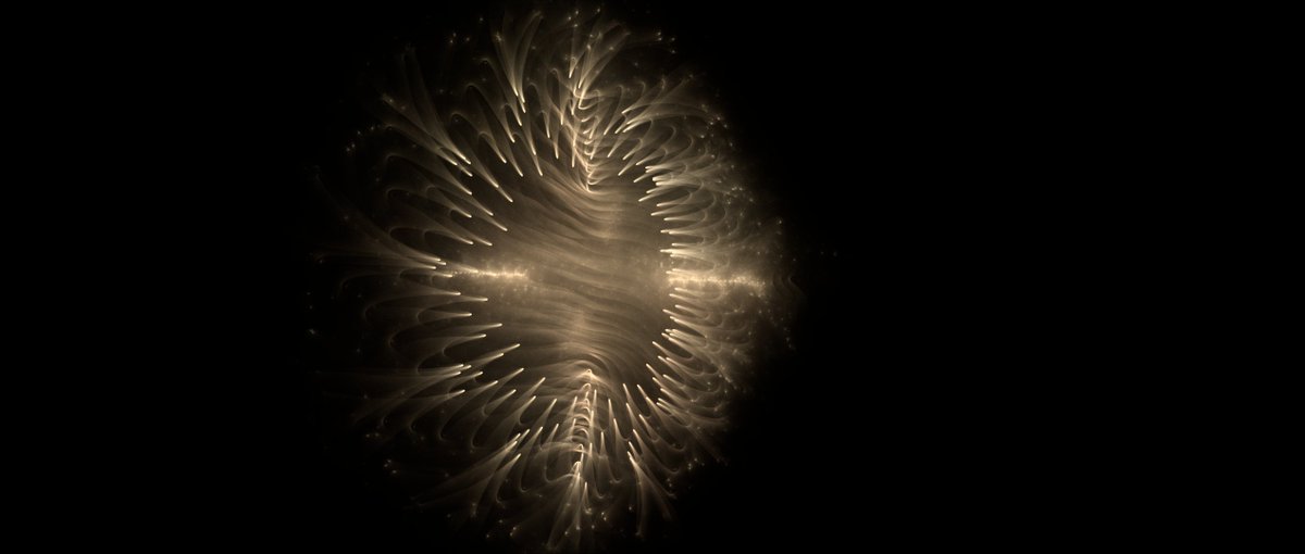 Cornus Ammonis tweet media