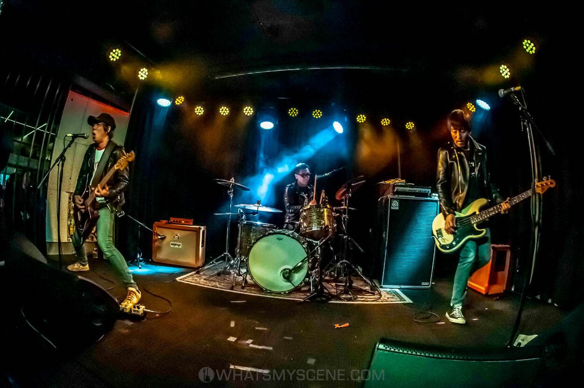 What's My Scene tweet media