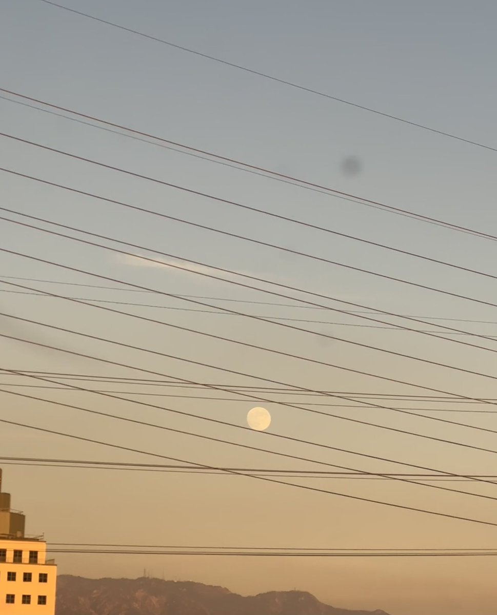 helicopterevil's tweet photo. Resting on a line. Must’ve seen the birds doing it https://t.co/CkXnCZIul9