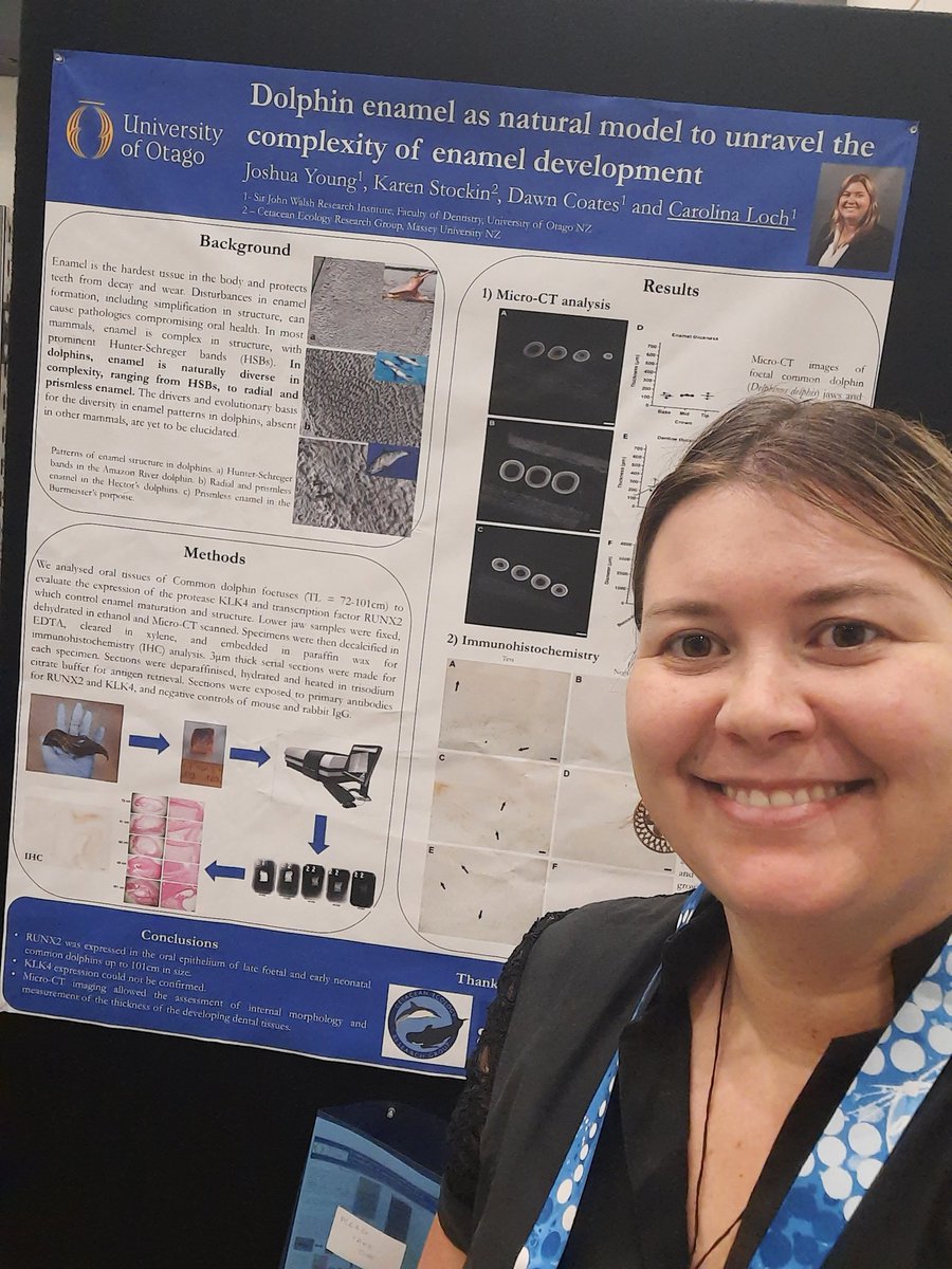 Poster selfie! Our work on enamel development in collaboration with <a href="/karen_stockin/">Karen Stockin</a> and Dentistry molecular biology 

#perthsmm2024