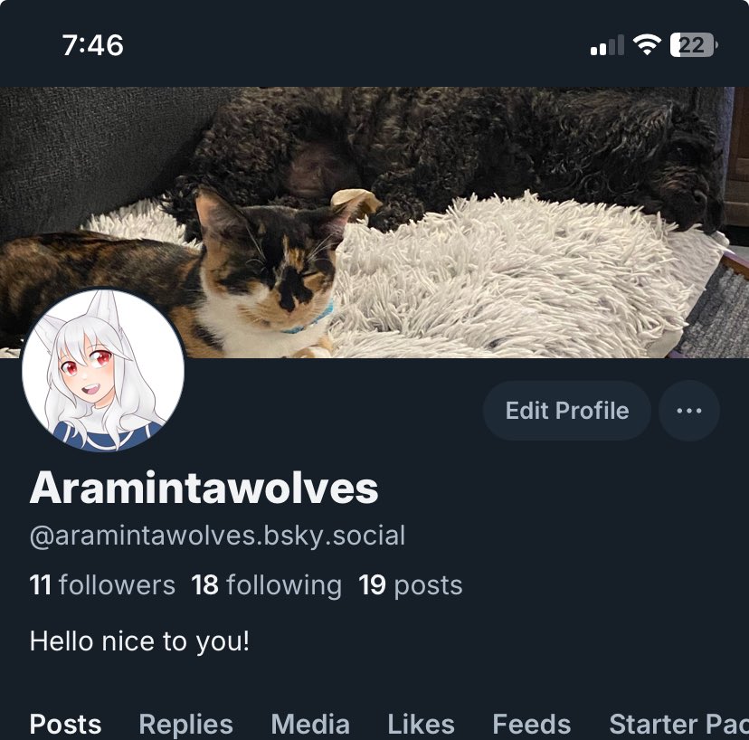 Aramintawolves tweet media