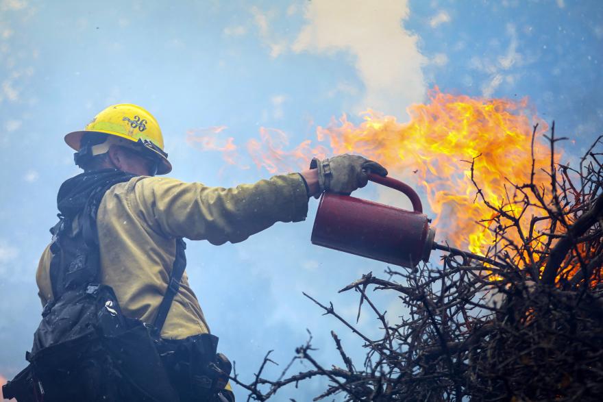 CAwildfireTF's tweet image. ICYMI, recent CAL FIRE &amp;amp; USFS investments in California- @forestservice: $15M to fund 3 Wildfire Crisis Strategy projects. In Sept., @CAL_FIRE &amp;amp; USFS: Nearly $31M in #UrbanForestry grants. bit.ly/TF-CALFIRE-USFS @usfs_r5 #WildfireTaskForce #TaskForceProgress #Wildfire