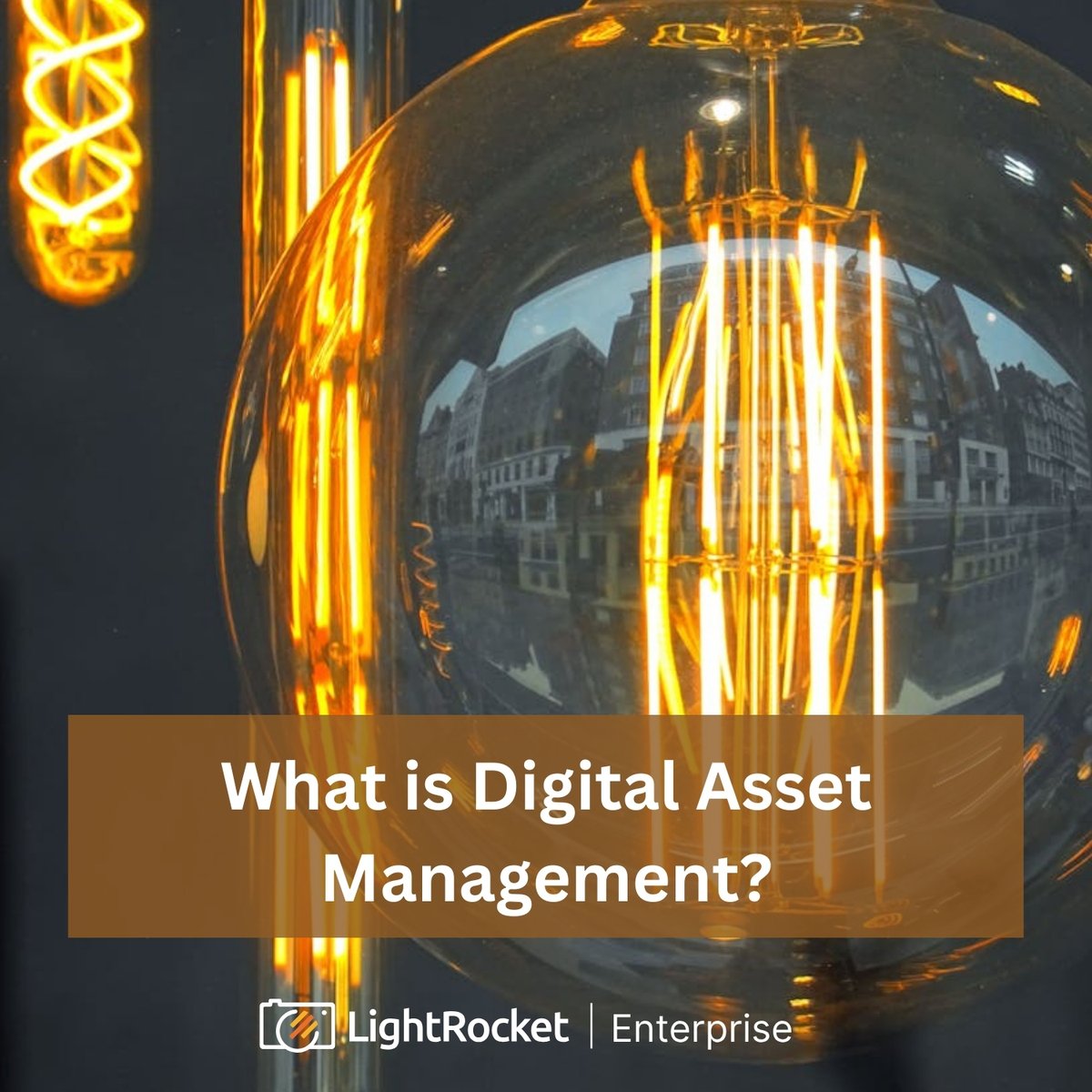 LightRocket Enterprise tweet media