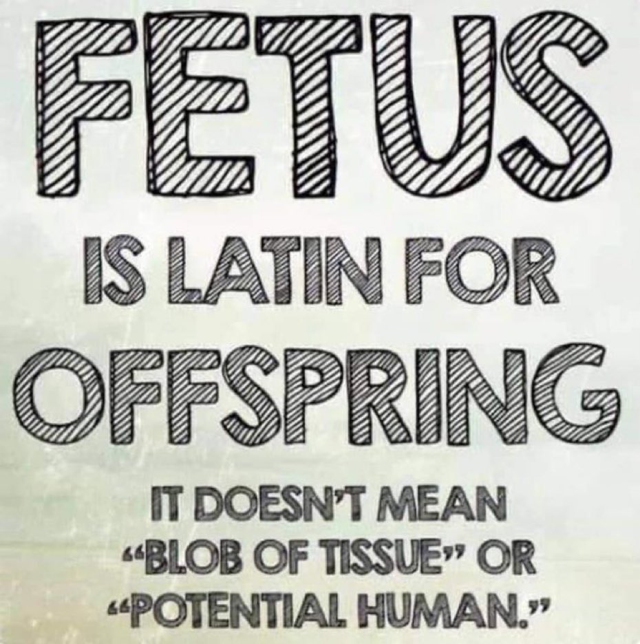 TaylorRMarshall's tweet photo. Make America Learn Latin Again https://t.co/uBHTYg5BNQ