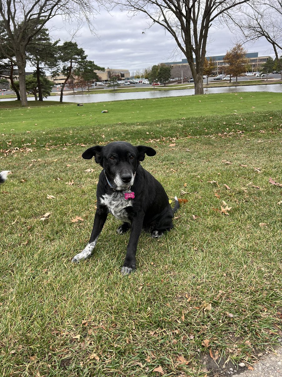 Michael Paciga tweet media