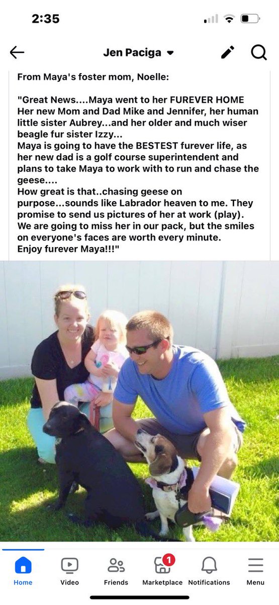 Michael Paciga tweet media