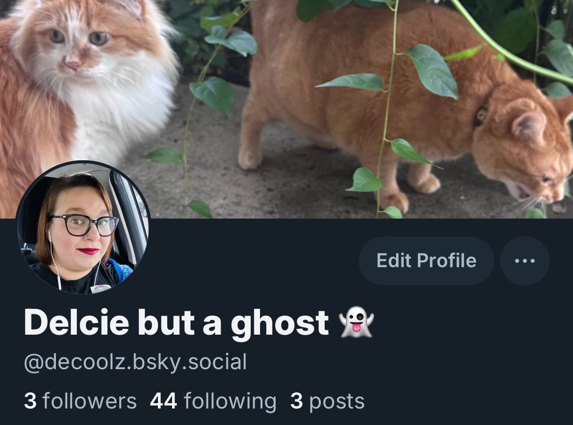 📖Delcie🖊 but a ghost 👻 tweet media