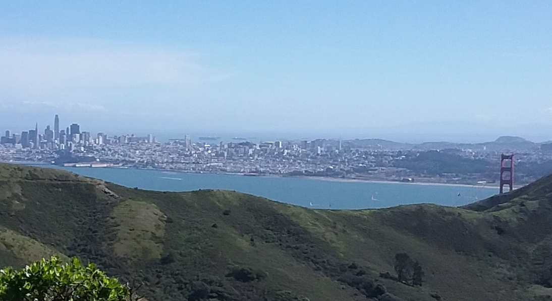 Tom Brighton (@tom772355) on Twitter photo 