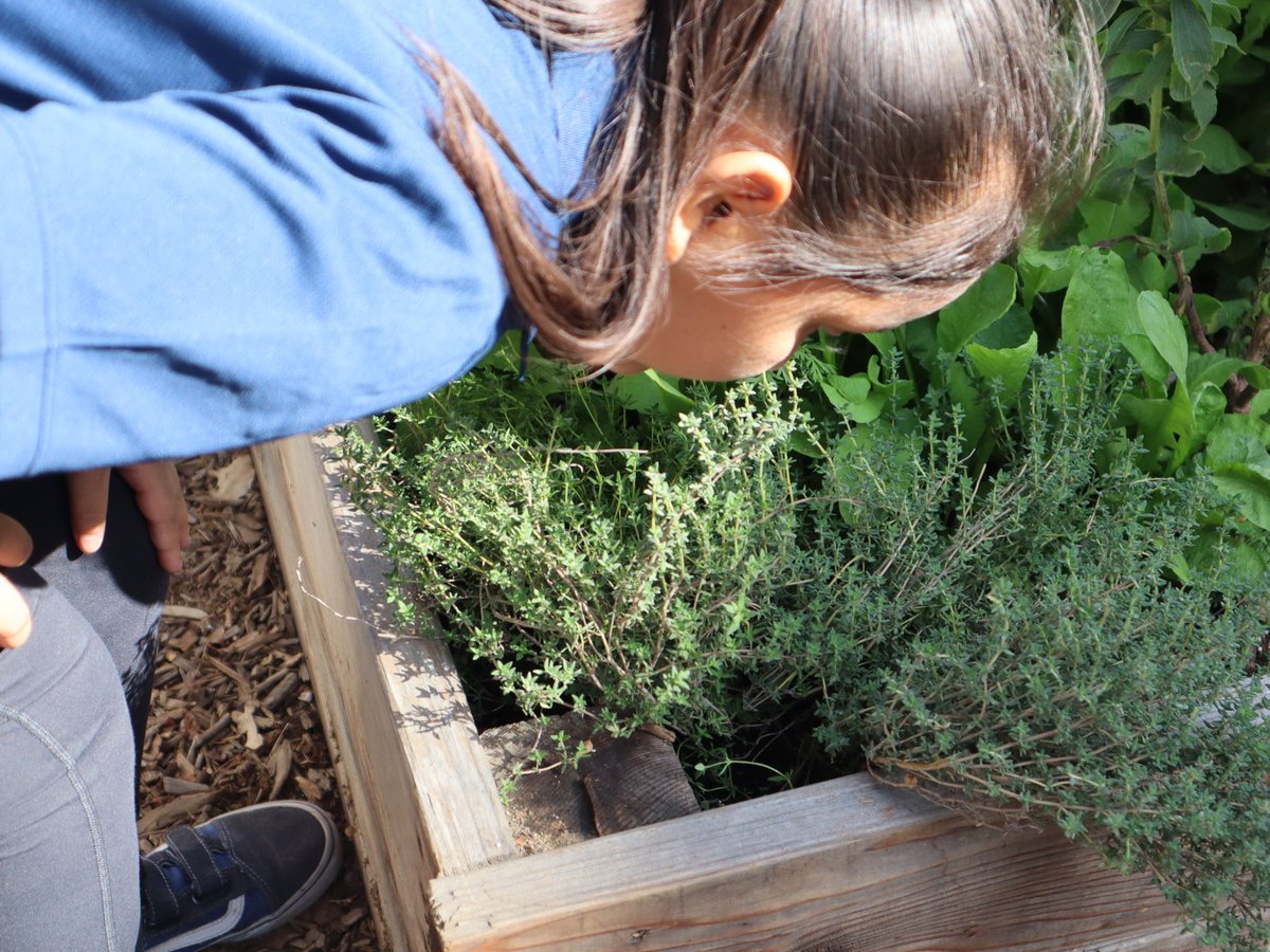 Ground Education tweet media