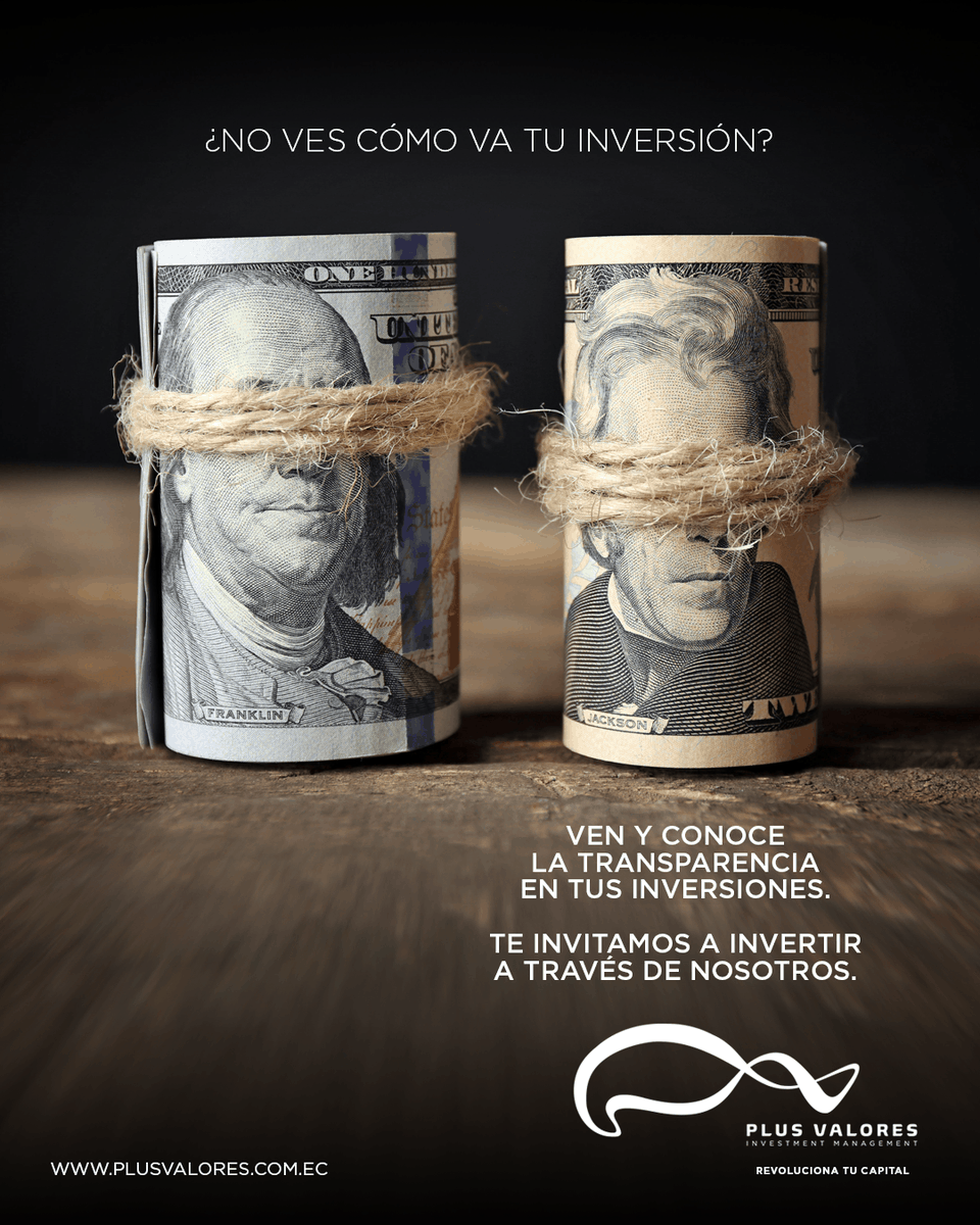 Plus Valores - Investment Management tweet media