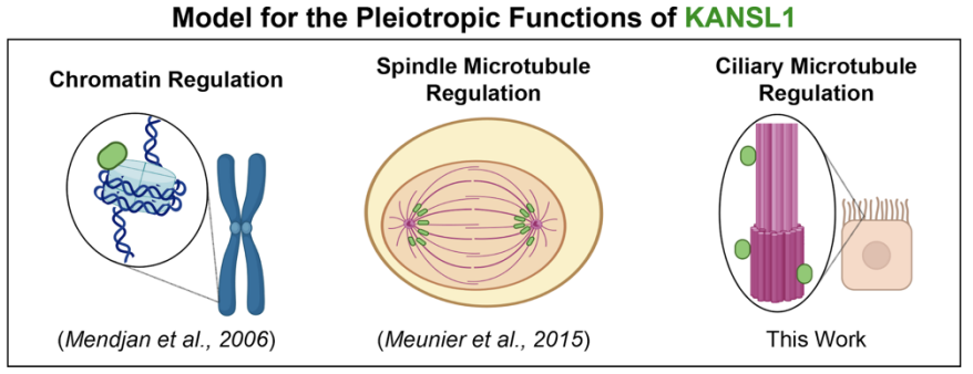 Helen Willsey tweet media