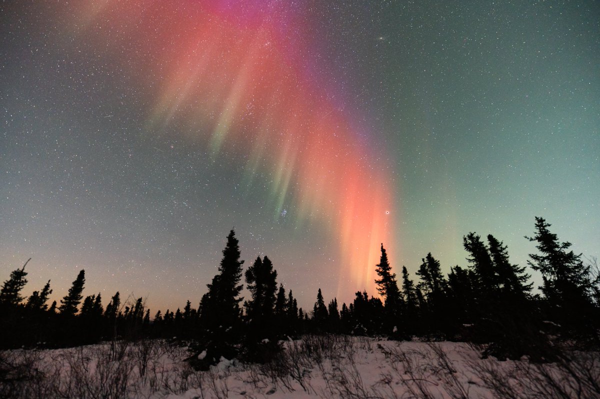 Vincent Ledvina tweet media