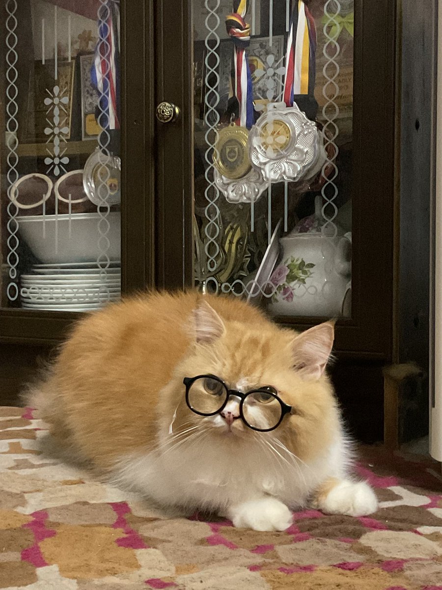 sqyaina's tweet photo. @pelisahh oyen pakai spek https://t.co/vmepE4boW5