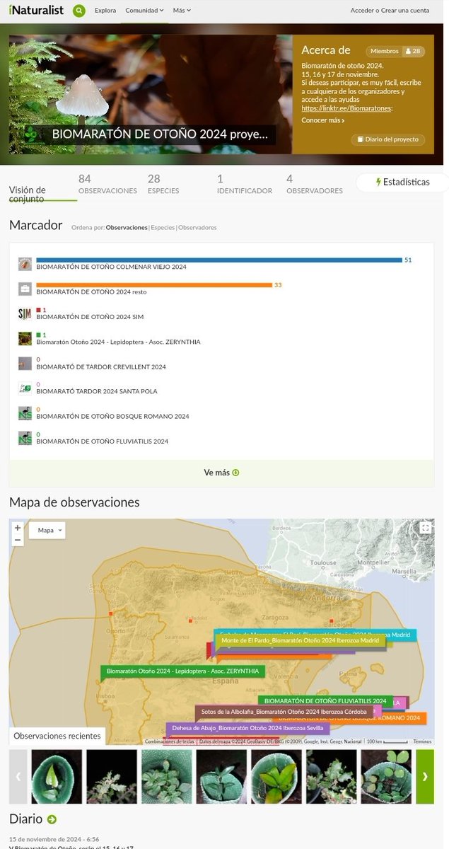 ANAPRI (@anapricolmenar) on Twitter photo A las 24h se inició en V Biomaratón de Otoño, sal a tus espacios naturales a realizar fotos y diviértete en la naturaleza. Sube tus fotos a las plataformas de #CienciaCiudadana , <a href="/NatusferaEs/">NatusferaEs</a> <a href="/ObservadoEs/">Observation España</a> <a href="/EbirdEspana/">eBird España</a> A las 24h se inició en V Biomaratón de Otoño, sal a tus espacios naturales a realizar fotos y diviértete en la naturaleza. Sube tus fotos a las plataformas de #CienciaCiudadana , <a href="/NatusferaEs/">NatusferaEs</a> <a href="/ObservadoEs/">Observation España</a> <a href="/EbirdEspana/">eBird España</a>
