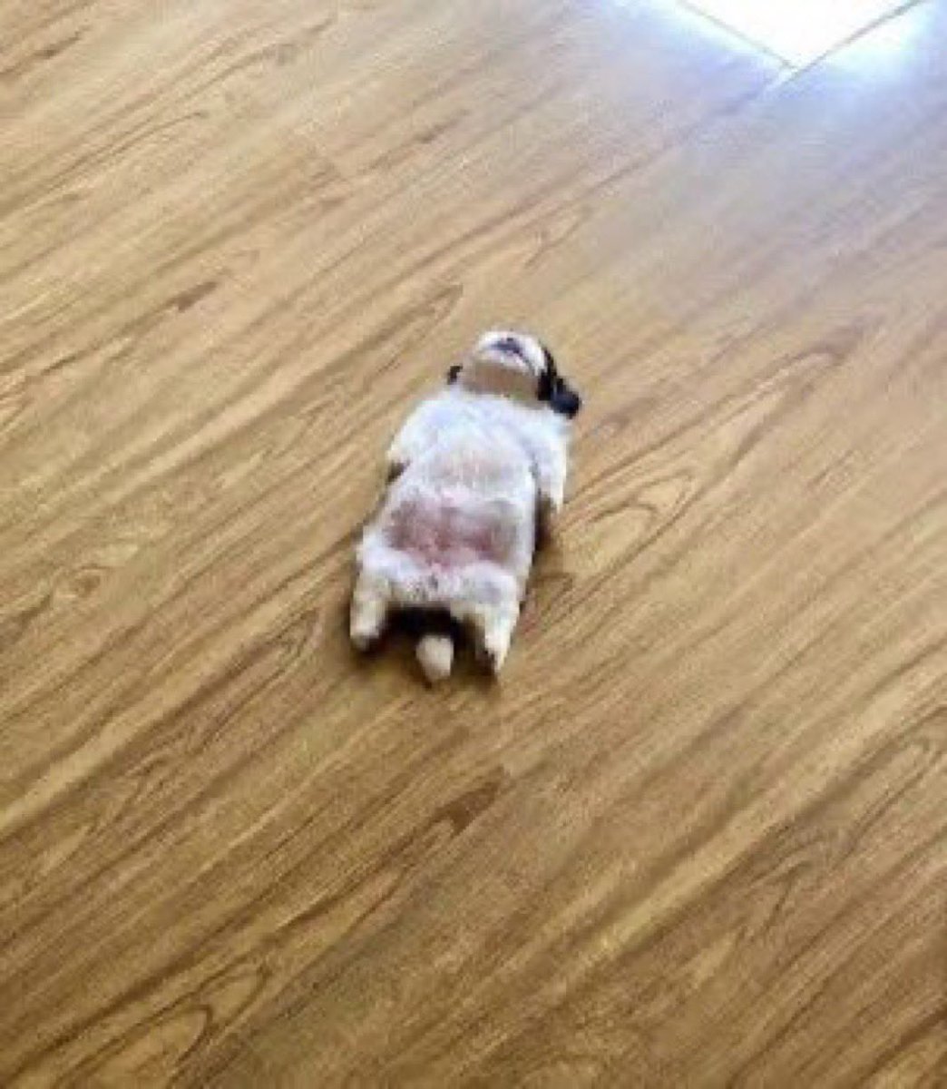 rest in peace phase rush. tweet media