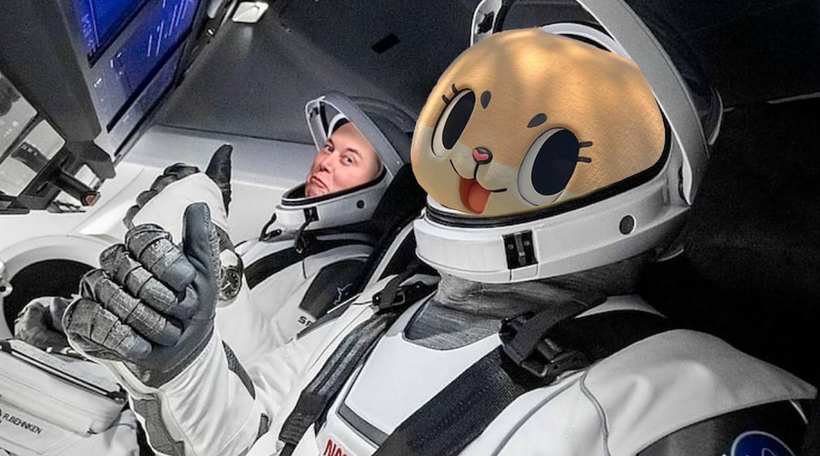 ctancoin's tweet photo. 🌕 Chiitan is ready to go to the moon 🌕

☆ Do you want to join our journey ☆

☆ $CTAN To The Moon ☆
A3gMddXMAhmc3P9dLjHv2n6ywWWzpGZbRCH6y8sta8ug
