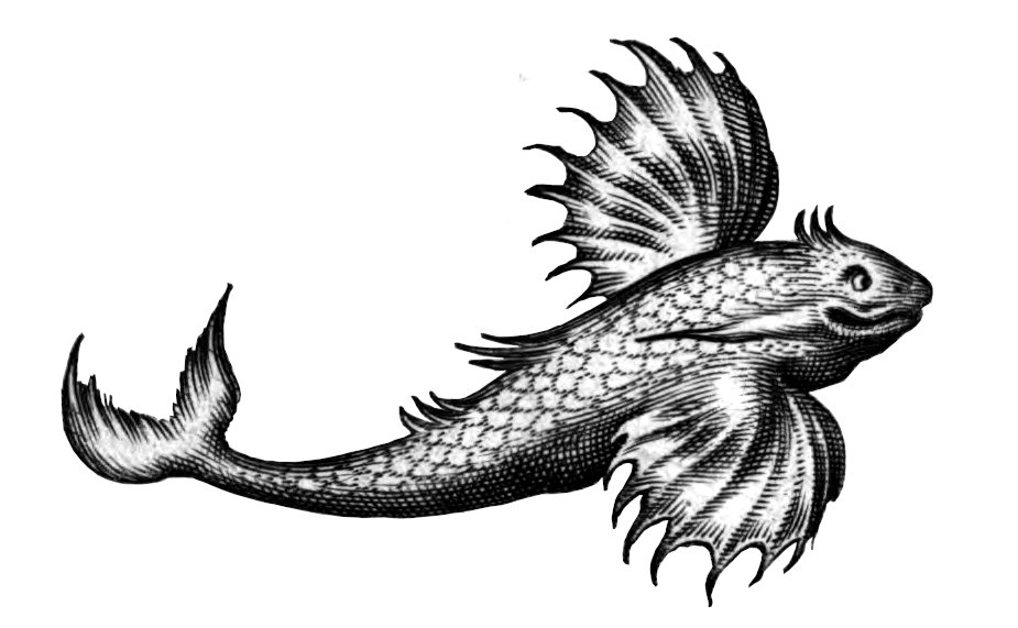 John Sailors tweet media