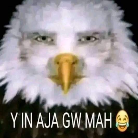 Babadil tweet media
