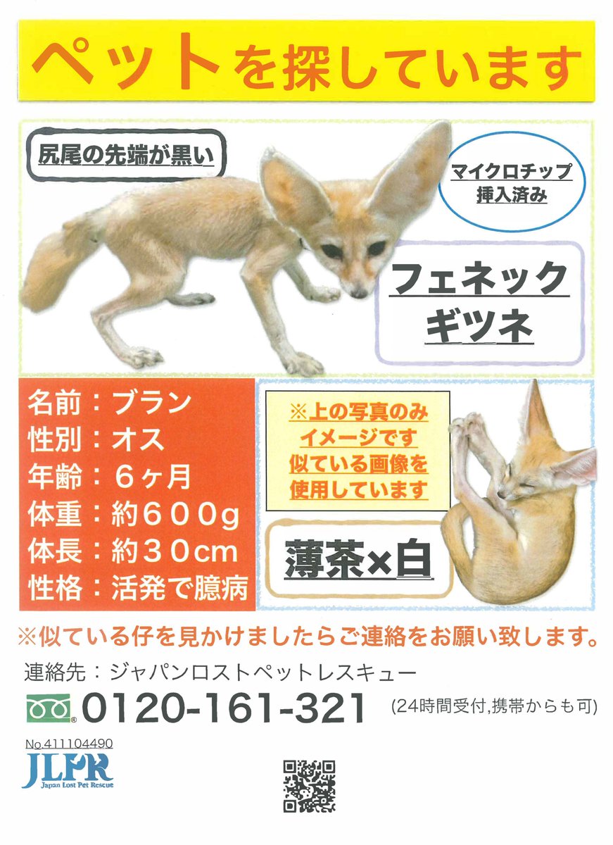 キツネ（プロフ必読) 新品】 MAISON KITSUNE / メゾンキツネ | レザー スエード切替 バイ