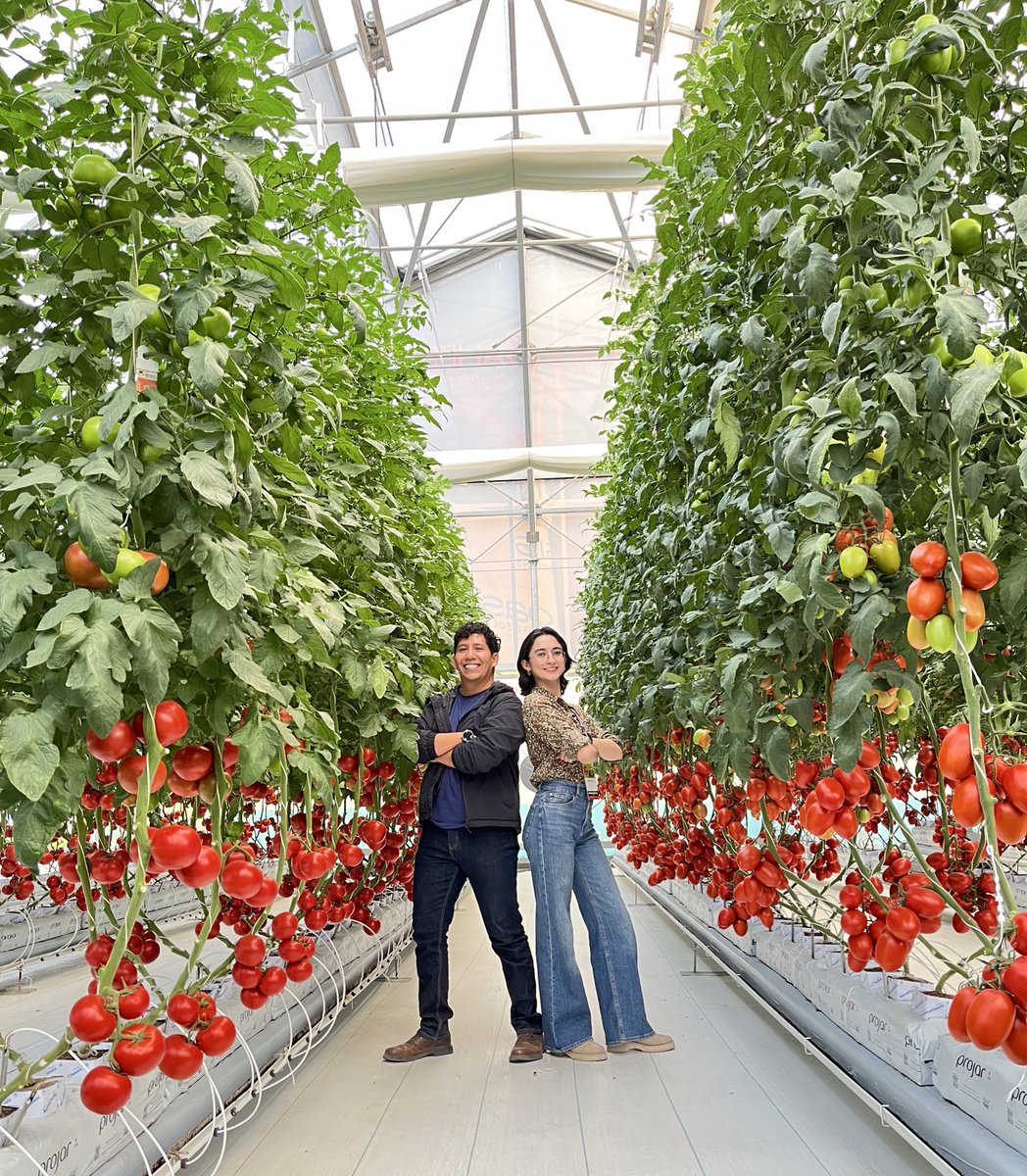 Daniela_DlaMora's tweet photo. Hoy visitamos la @expoagro_gto y obviamente los tomates fueron parada obligatoria.
Pose tomatera con @eduagrom 🍅 https://t.co/XllcvCyMHb