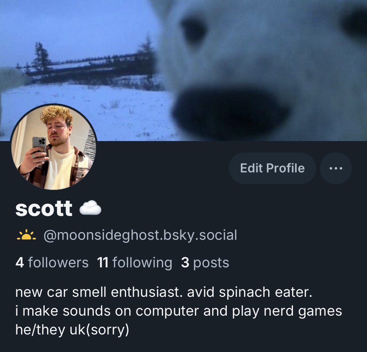 moonsideghost's tweet photo. i made the move come find me https://t.co/1n6VEVBbPU