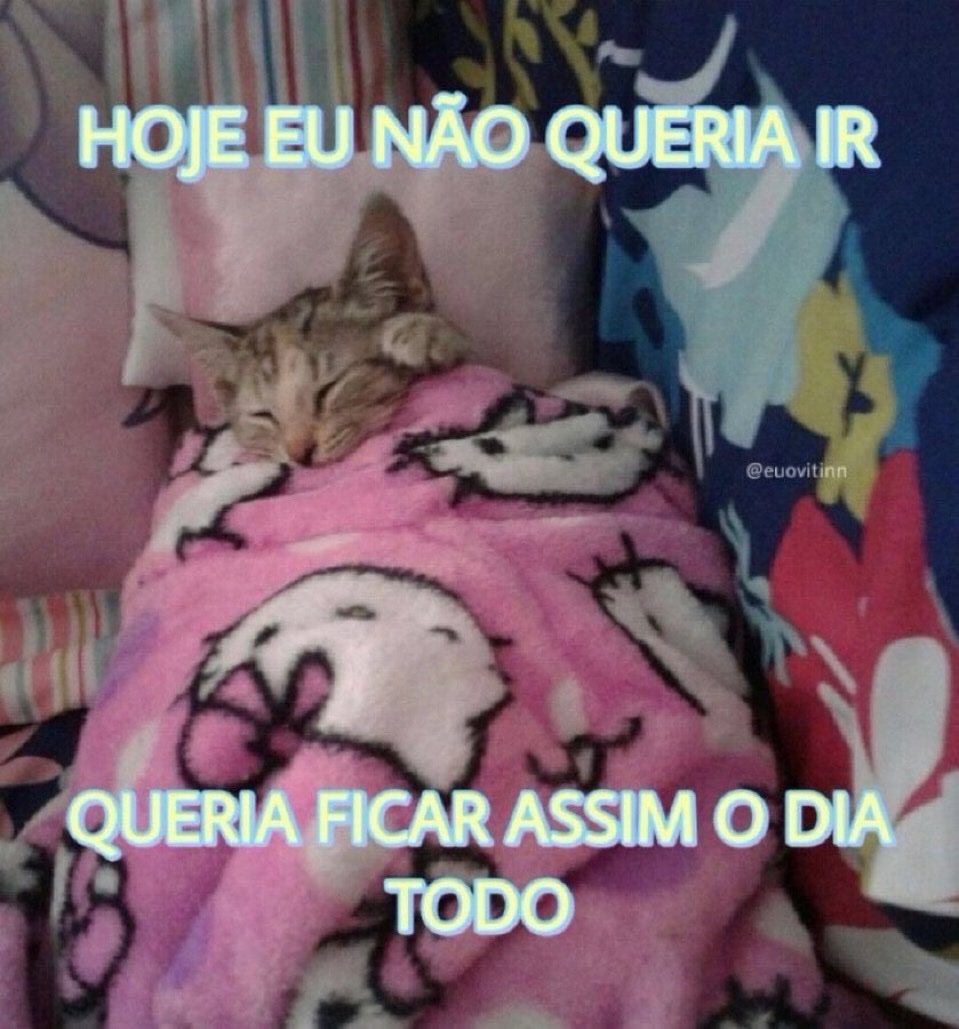 sobreteucaos's tweet image. 