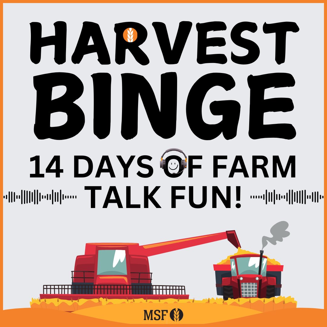 Navigating Drought: Livestock Management Podcast 🐑 Drought is tough, but managing livestock effectively is 🔑 Tune in for tips on culling, feeding &amp; animal health ➕ Harvest Binge starts Monday <a href="/SADroughtHub/">SA Drought Resilience Adoption and Innovation Hub</a> <a href="/deb_scammell/">Deb Scammell</a> <a href="/flicturner/">Felicity Turner</a> <a href="/pennyschulz/">Penny Schulz</a>
🎧  loom.ly/2i9QlWA