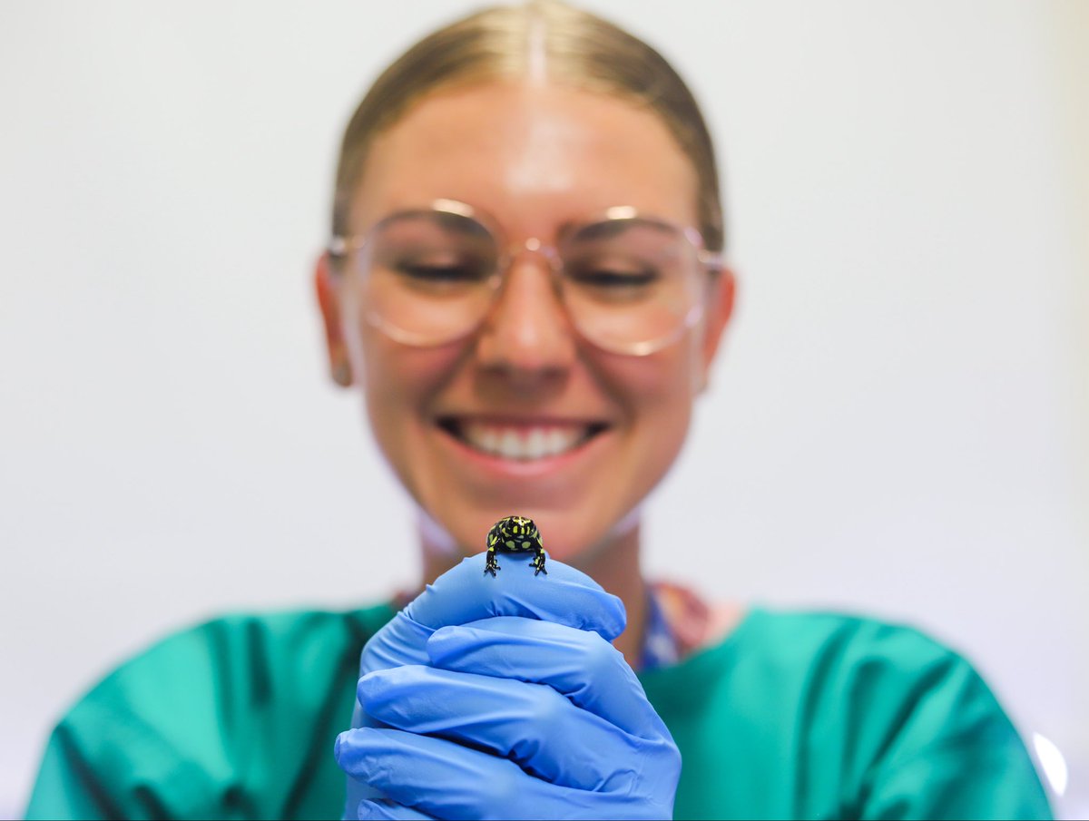 Mikaeylah Davidson @microbemik.bsky.social tweet media