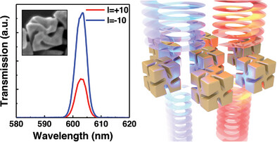 Excited to share our recent work on chiral light-matter interaction! The chiral nanoparticle greatly enhances helical dichroism, which can be used to identify the chirality of molecules. onlinelibrary.wiley.com/doi/full/10.10…