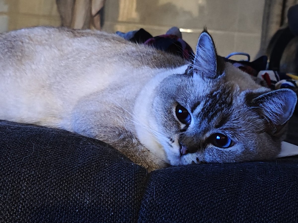 谁知道她在想什么，做什么梦