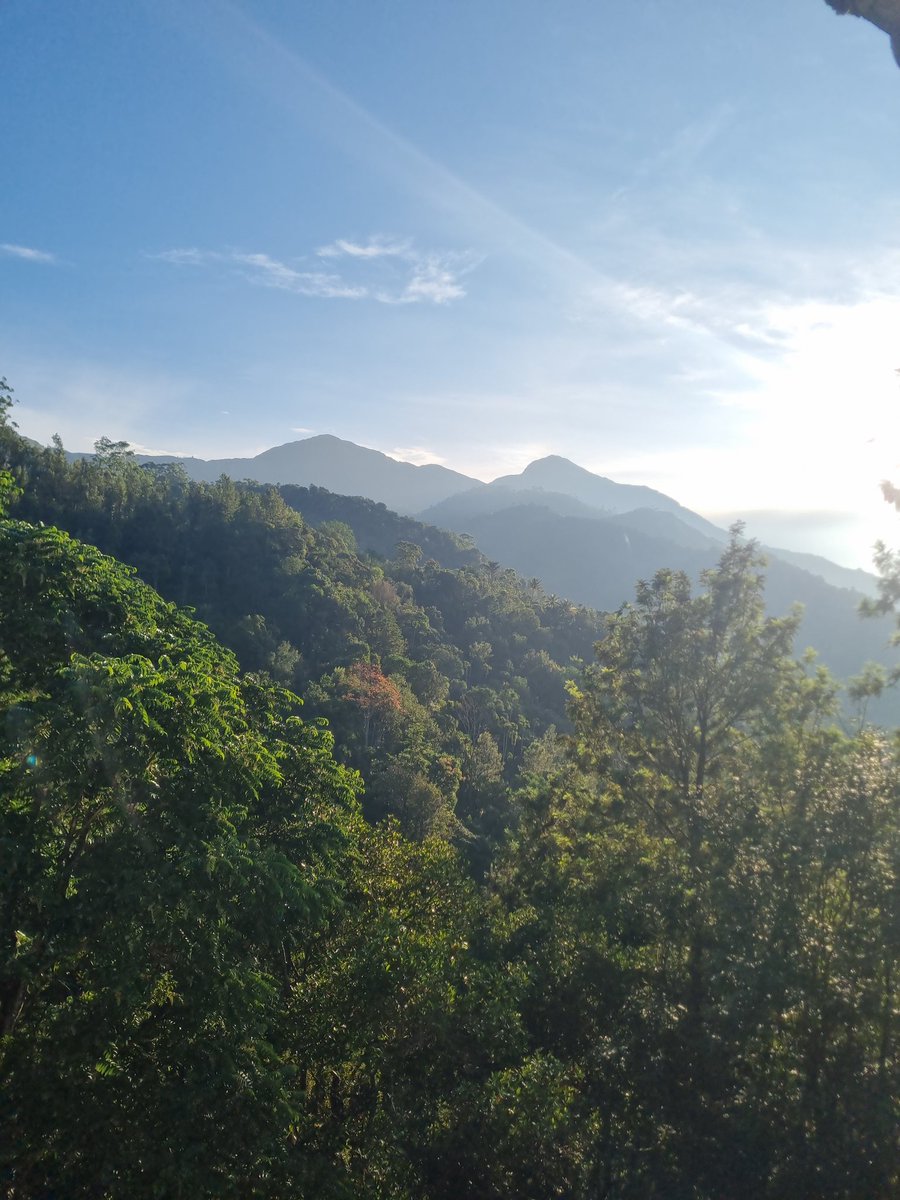 stephen murphy- dmo brickwork ltd tweet media