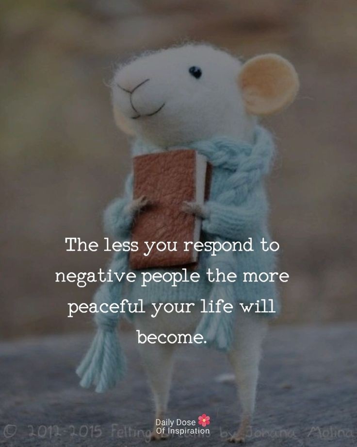 Mindset Mantra tweet media