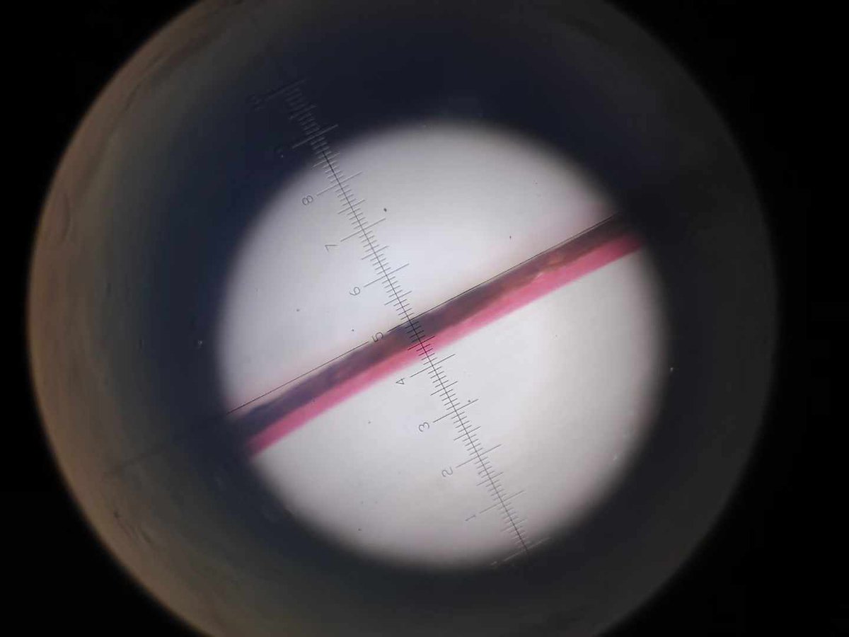 BAST07594104's tweet image. Let's see what we can do with layer thickness control to help you produce high-quality 3-layer oxypert pipes while saving on raw material costs
Website: bastextrusion.com
Email: frank@bestextrusion.com
#bastextrutech #extrusion #pprpipe #extrusionline #innovation #solution