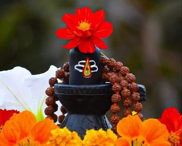 जिस समस्या का नही कोई उपाय,
उसका हल सिर्फ "ॐ नमः शिवाय"।
हर हर महादेव ♥️♥️♥️
#ॐ_श्री_शिवाय_नमस्तुभ्यम्