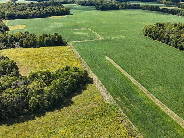 FARMFLIP's tweet photo. Feature Farm Auction: Live &amp; Online. This is an opportunity to acquire prime land in Clark Co., IL. 569 +/- acres divided in 9 tracts. Bid now through November 18 at 6PM CST. Conducted by Bill Burke w/ @UCRealEstate. https://t.co/AG0njjbMJO https://t.co/2lgL8TBmuS