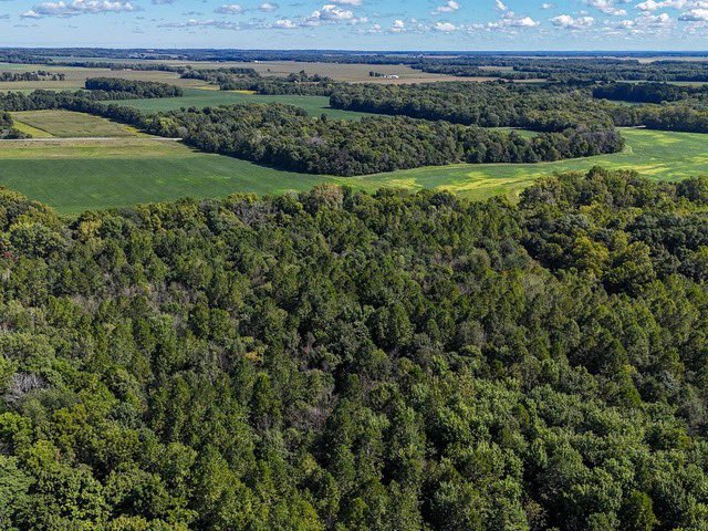 Feature Farm Auction: Live &amp; Online. This is an opportunity to acquire prime land in Clark Co., IL. 569 +/- acres divided in 9 tracts. Bid now through November 18 at 6PM CST. Conducted by Bill Burke w/ <a href="/UCRealEstate/">United Country</a>. farmflip.com/farm/385624