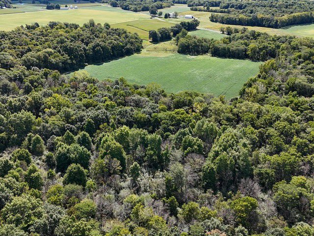 ranchflip's tweet photo. Feature Ranch Auction: Live &amp; Online. This is an opportunity to acquire prime land in Clark Co., IL. 569 +/- acres divided in 9 tracts. Bid now through November 18 at 6PM CST. Conducted by Bill Burke w/ @UCRealEstate. https://t.co/vchY9z71vk https://t.co/mSq9lYwLx7