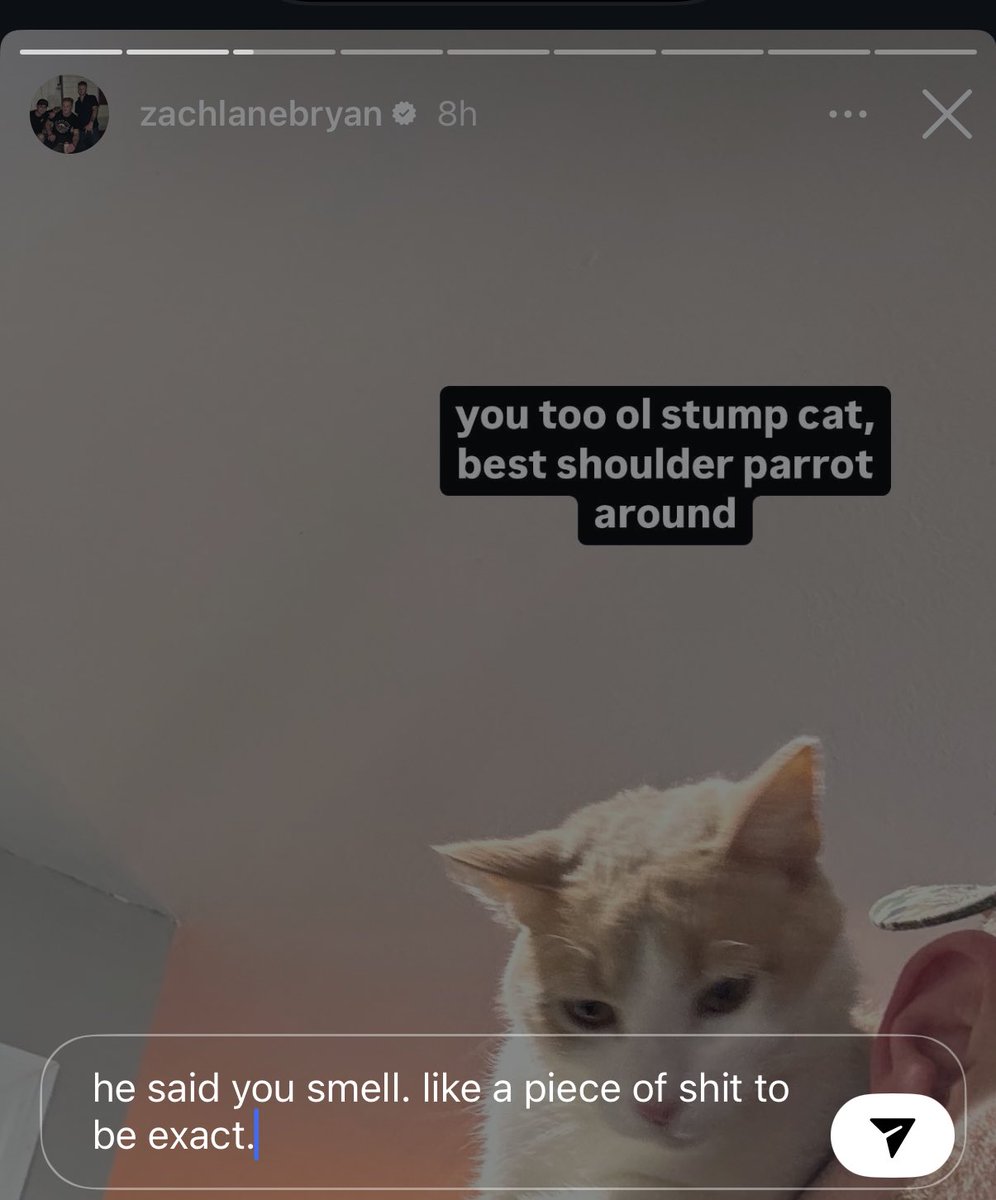 eye sis (@nosleepenergyy) on Twitter photo 