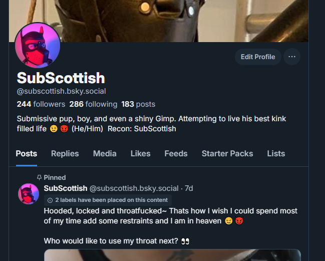 Pup Rio//SubScottish tweet media