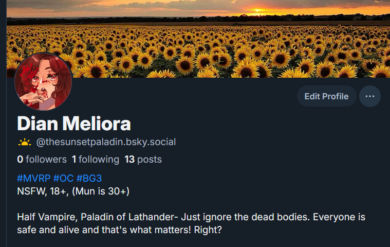 Sunset_Paladin's tweet photo. //Catch me on 🦋☁️! https://t.co/2pYh6Phtt0