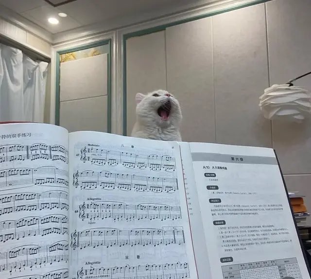 quiet… he’s performing
