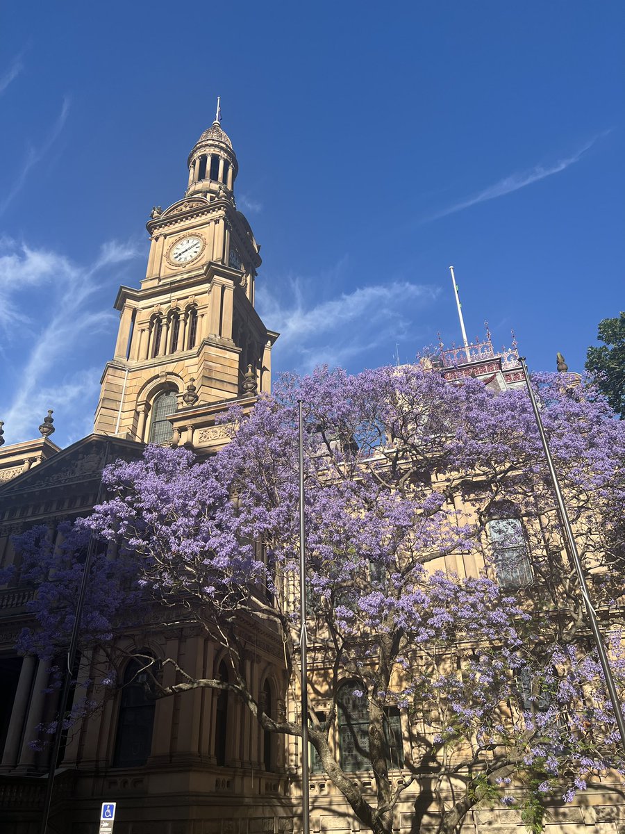 2F0cus's tweet image. 我一定会成功