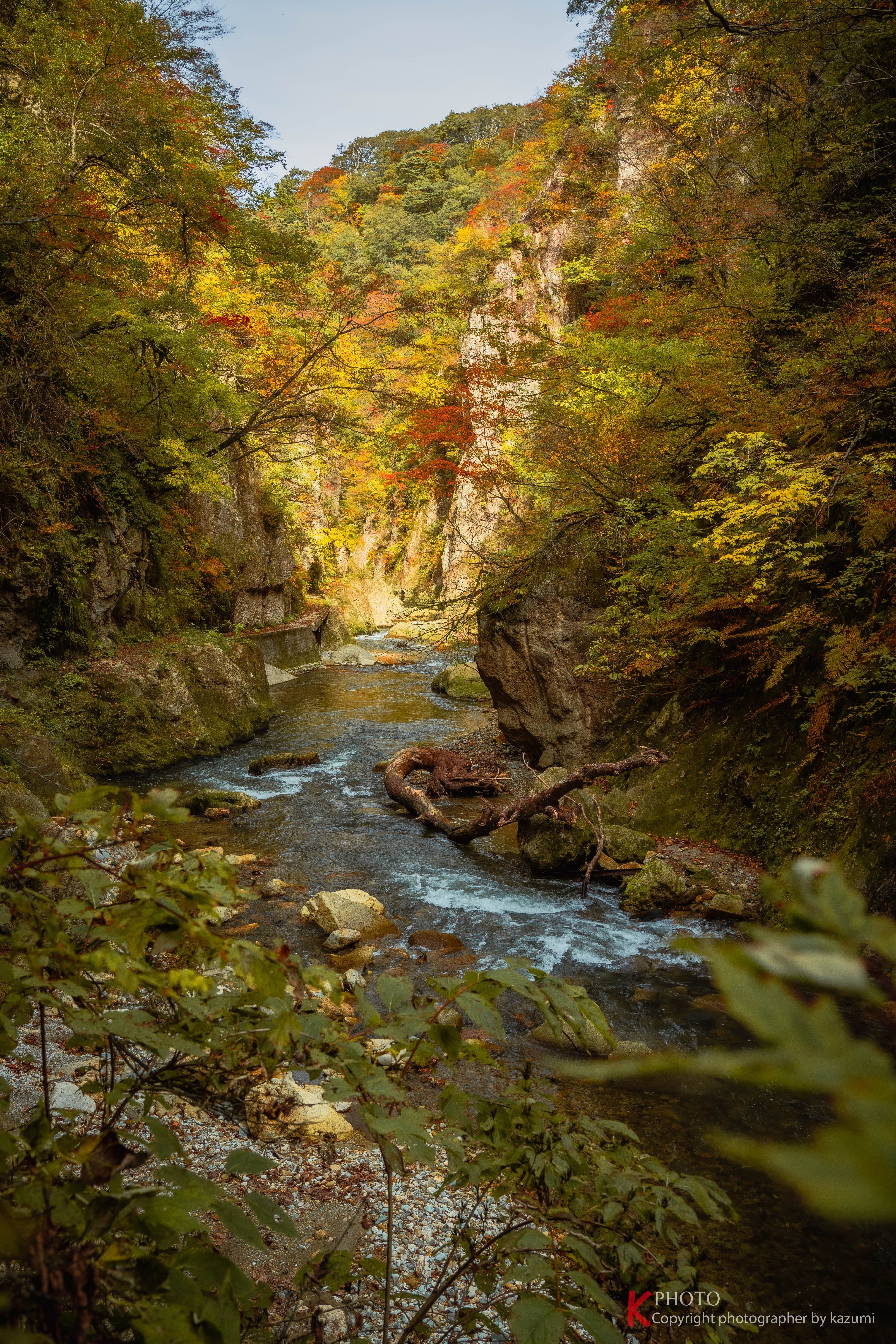 カズミ🇹🇼Photo (@kazumiDF) / X