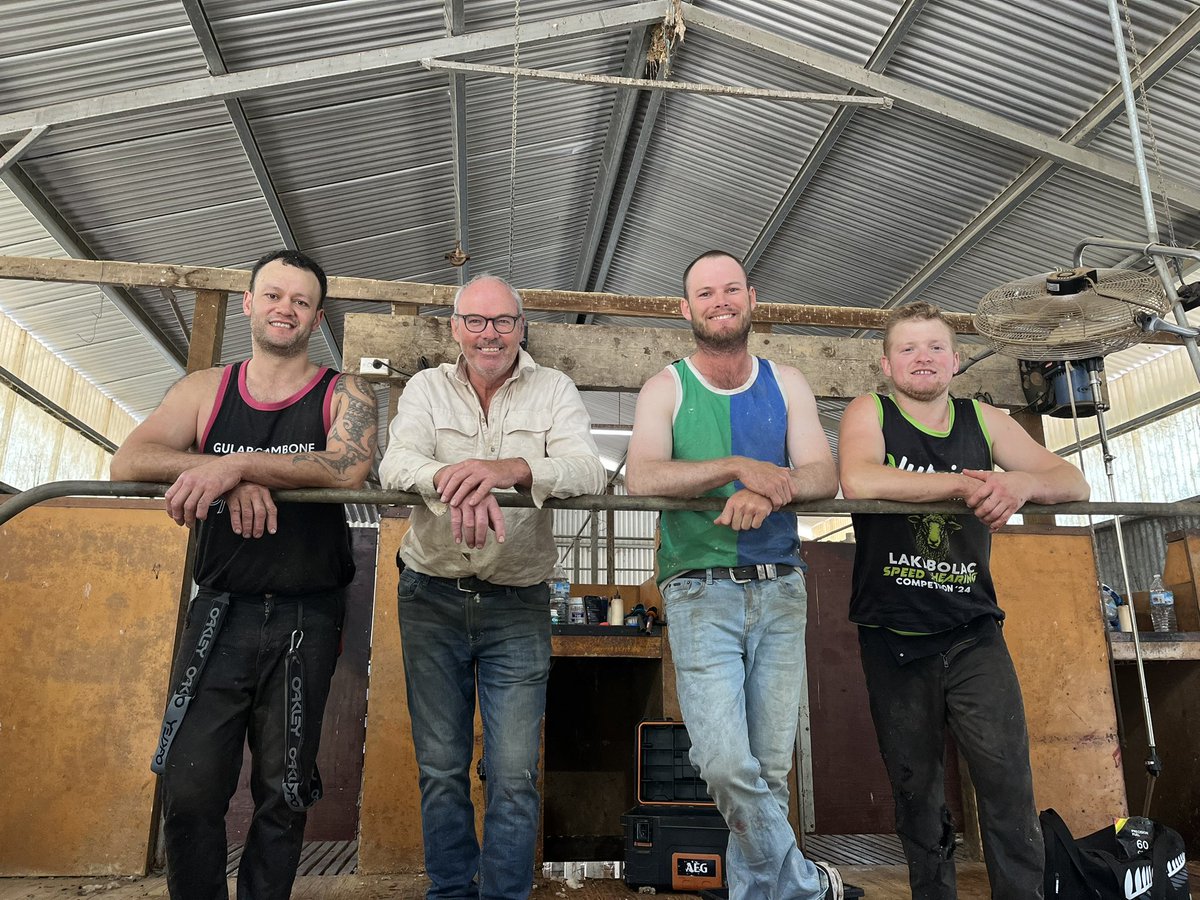 Tom Briggs tweet media