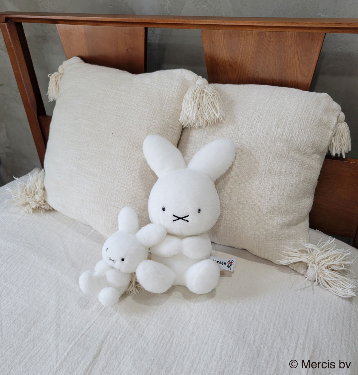 ぬいぐるみのセキグチ【公式】 on X: 