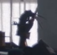 BobaTalks tweet media